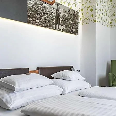 H+ Ried Hotel 4*
