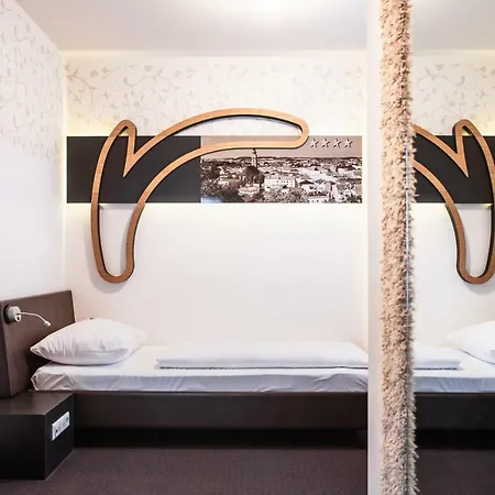 H+ Ried Hotel 4*